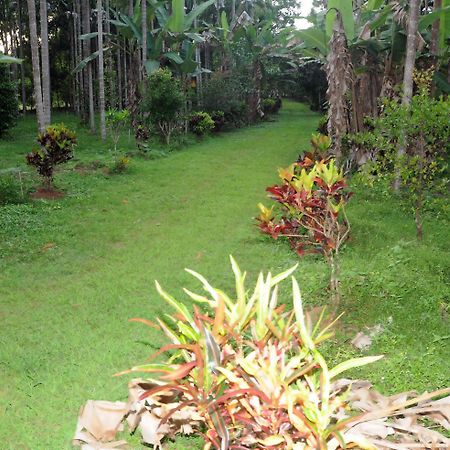 Sathwik Homestay Kumta Exteriör bild