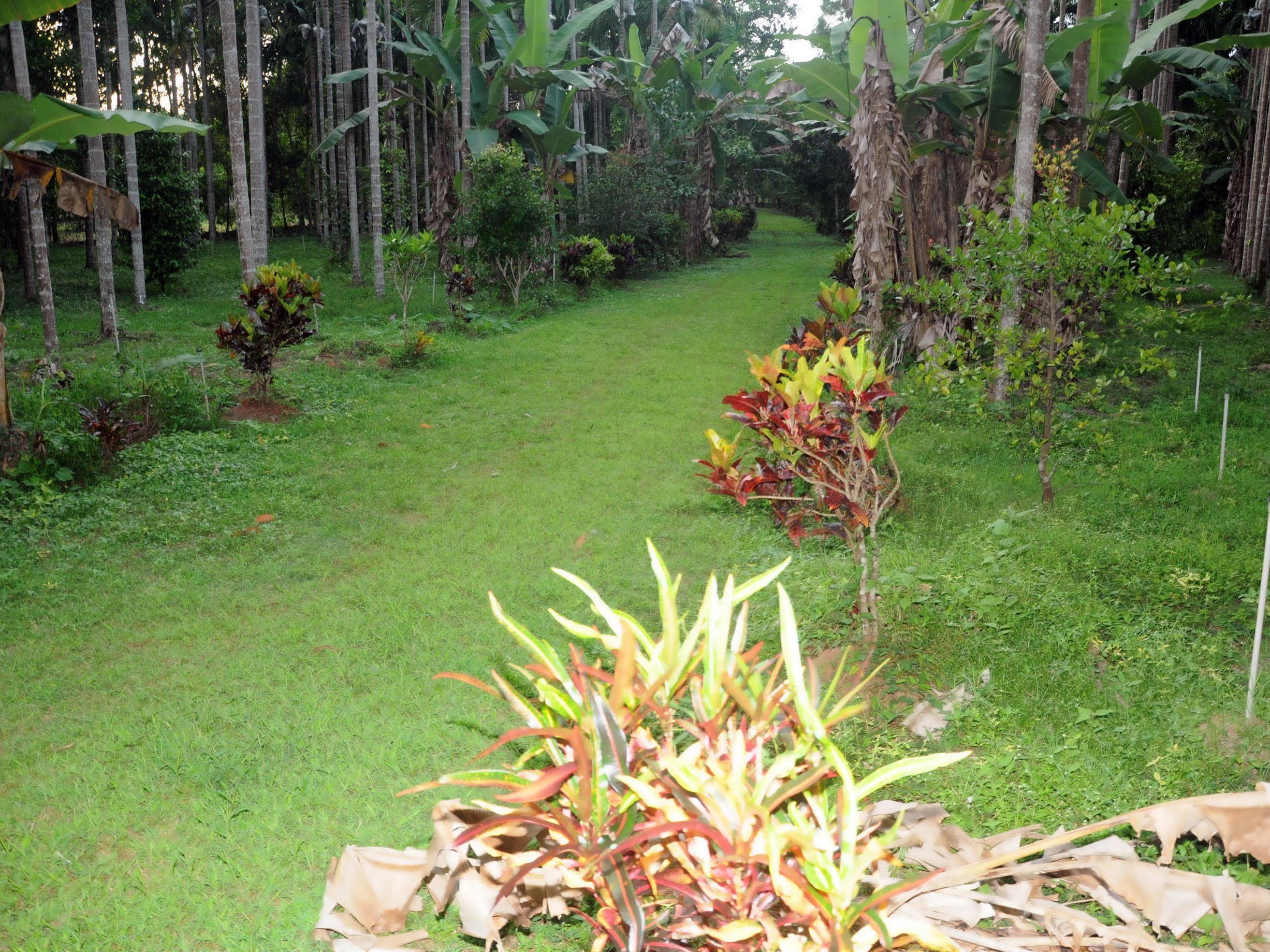 Sathwik Homestay Kumta Exteriör bild